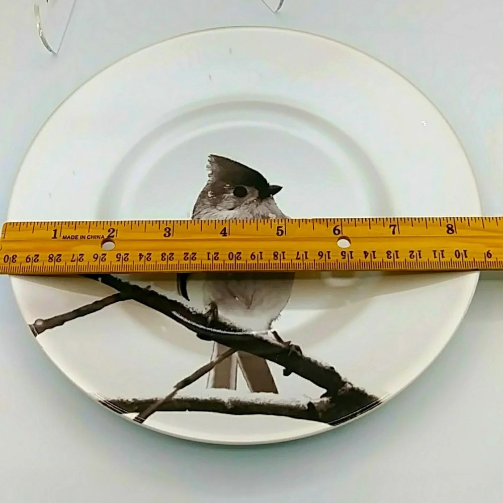 🦉HP! Pier 1 Winter Snowy Tufted Titmouse Bird on a Branch. Salad/ Accent Plate